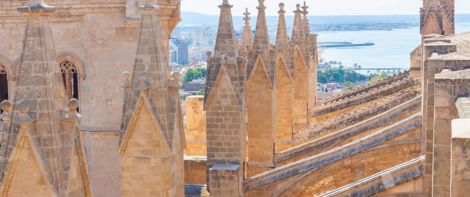 Discover the terraces of Mallorca Cathedral: a bird’s eye view of Palma - Garden Hotels
